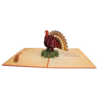 Turkey Thanksgiving Pop-Up Card