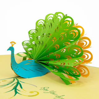 Peacock Birthday Pop-Up Card