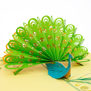 Peacock Birthday Pop-Up Card