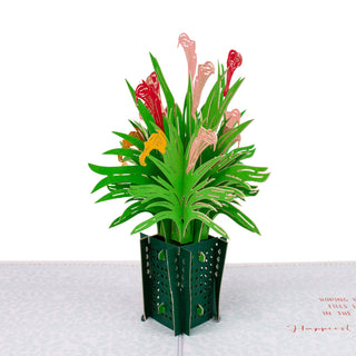 Calla Lily Birthday Pop-Up Card
