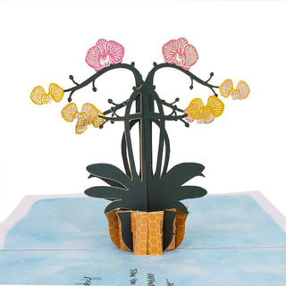 Orchid Birthday Pop-Up Card