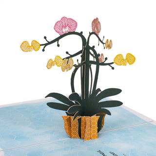 Orchid Birthday Pop-Up Card