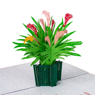 Calla Lily Birthday Pop-Up Card
