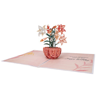 Stargazer Birthday Pop-Up Card