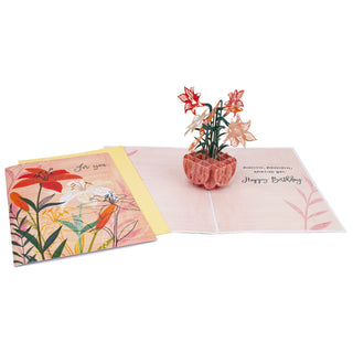 Stargazer Birthday Pop-Up Card